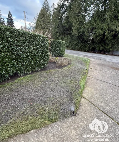 Lawn Care & Sprinkler System Installation in Lynnwood 